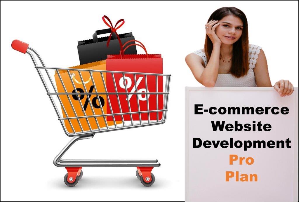 professional ecommerce website development agency in Concord New Hampshire