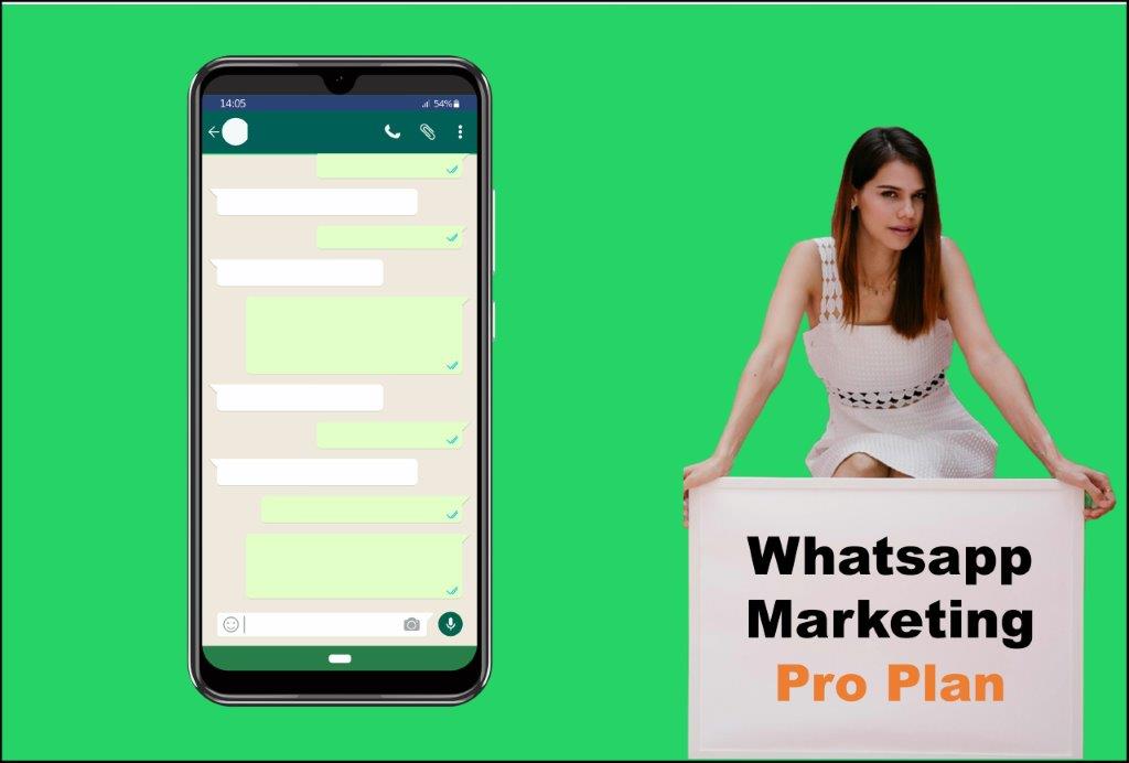 whatsapp marketing agency in Concord New Hampshire
